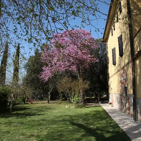 Passerini * Bagno Roselle